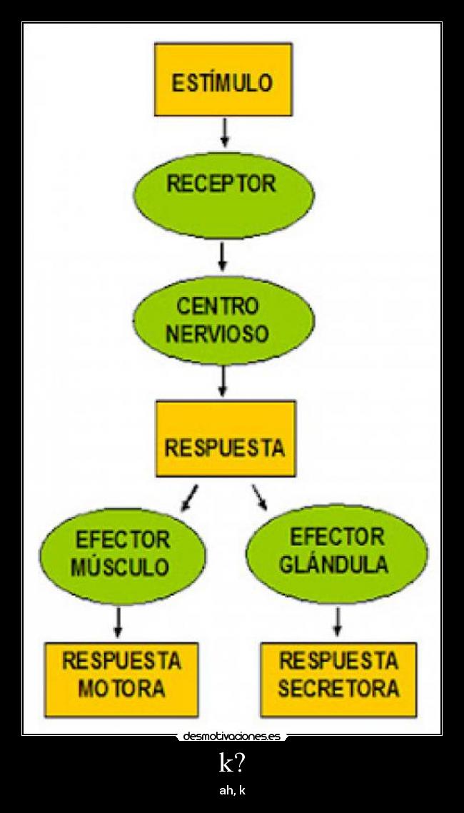 carteles volvido clanhoygan mecomeselrabo escaluki amor bash desmotivaciones