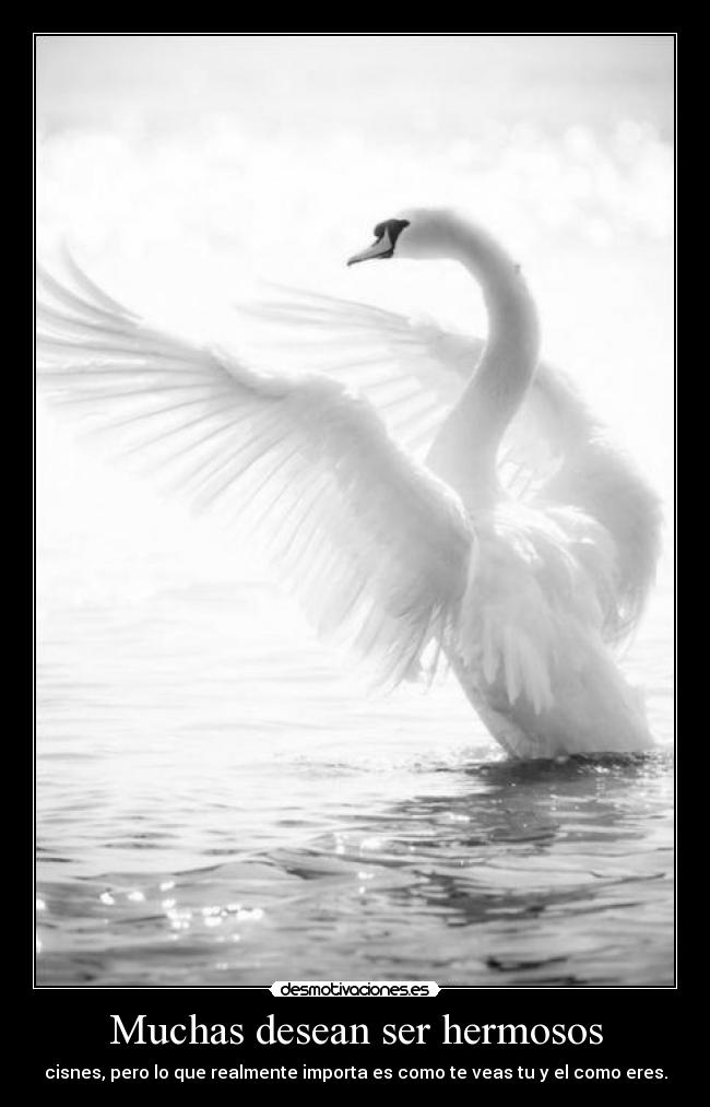 Muchas desean ser hermosos -