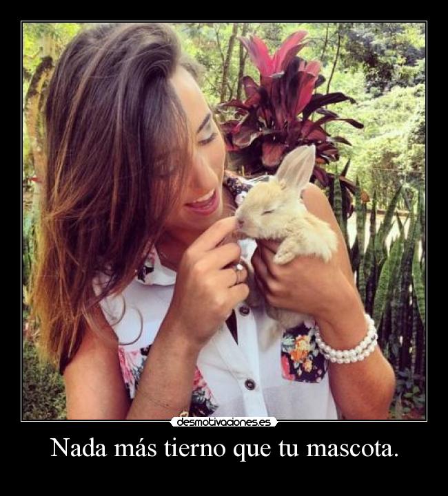 Nada más tierno que tu mascota. -
