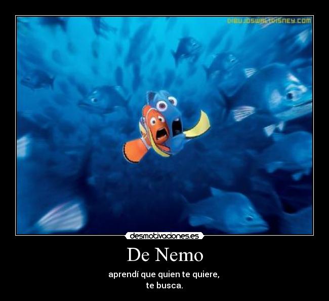 De Nemo - aprendí que quien te quiere,
te busca.