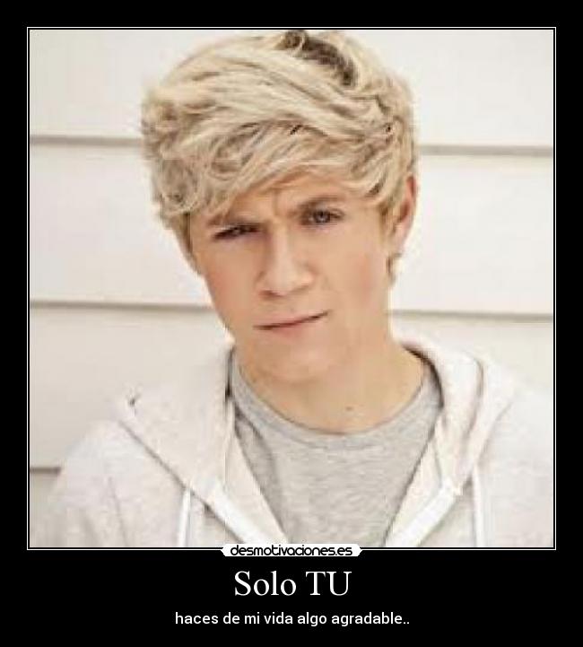 carteles niall horan one direccion desmotivaciones