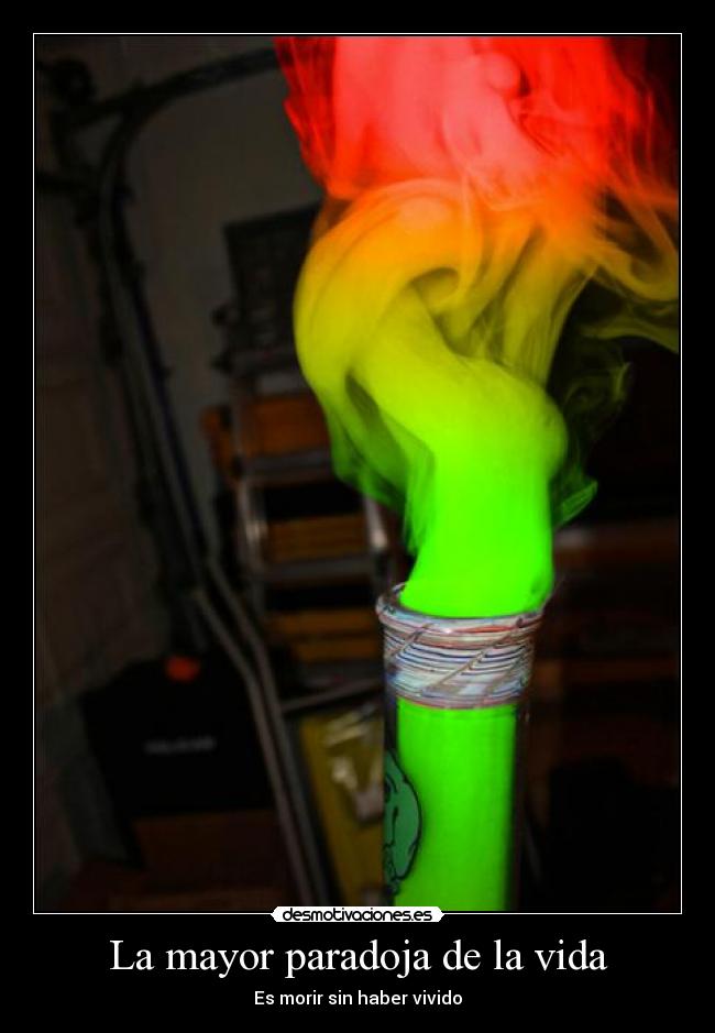 La mayor paradoja de la vida - Es morir sin haber vivido