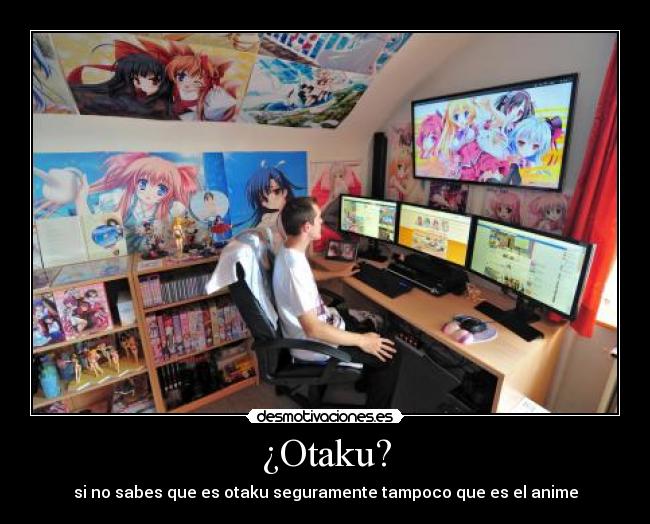 ¿Otaku? -