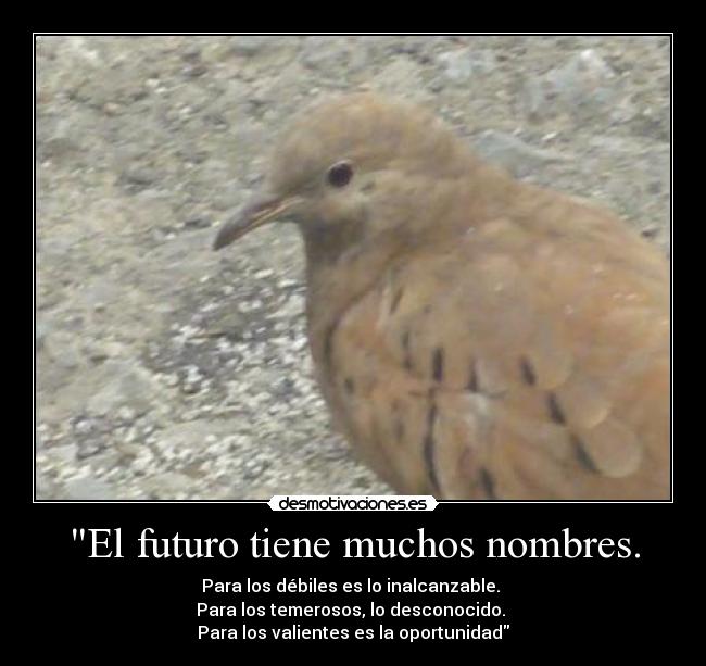 El futuro tiene muchos nombres. -