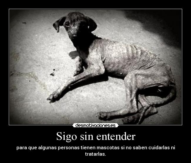 carteles sigo sin entender desmotivaciones