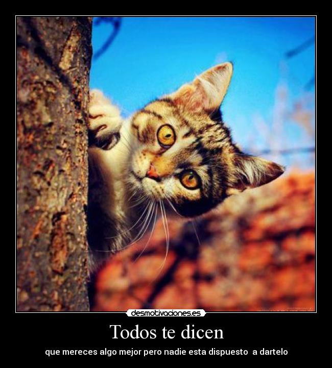 Todos te dicen - 