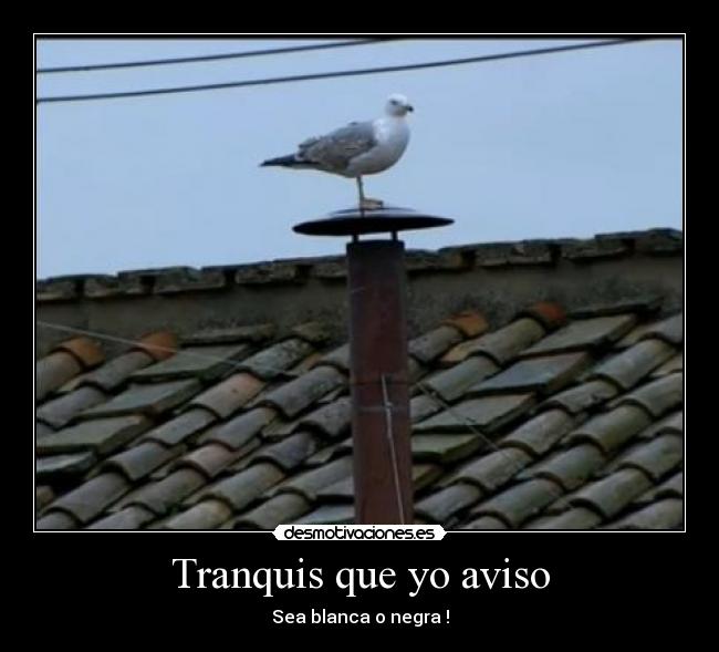 carteles fumata negra iglesia albufera desmotivaciones