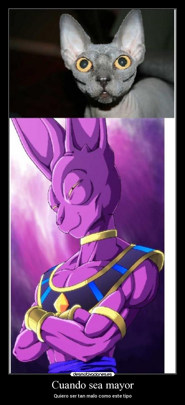 carteles humor desmotivaciones