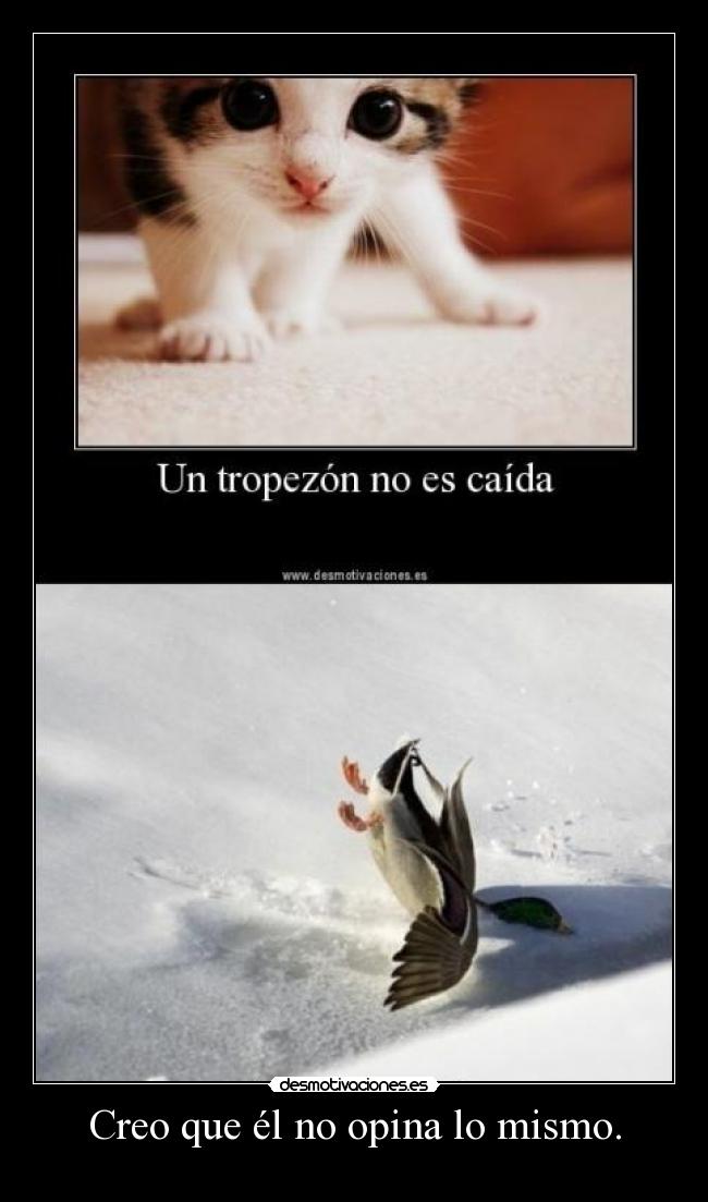 Creo que él no opina lo mismo. -