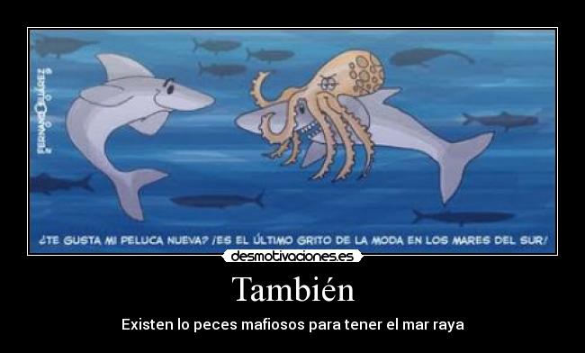 También - Existen lo peces mafiosos para tener el mar raya