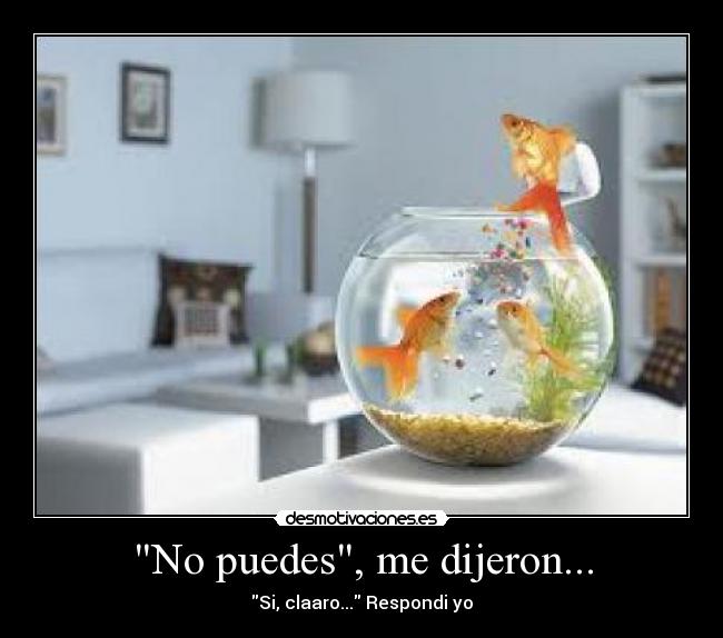 No puedes, me dijeron... - Si, claaro... Respondi yo