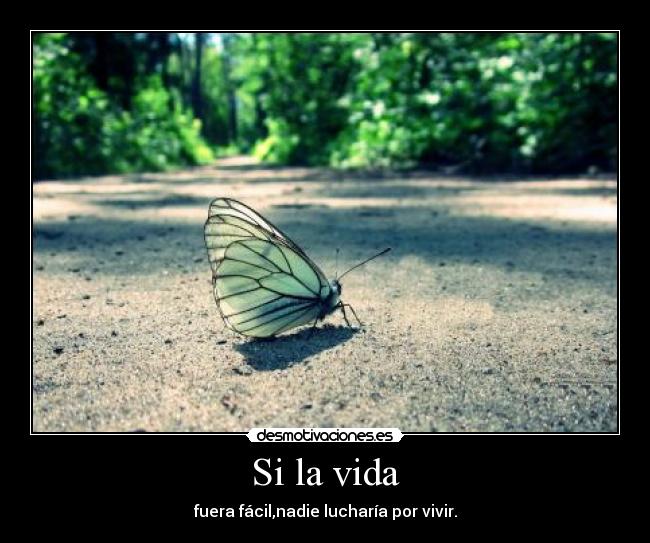 Si la vida -