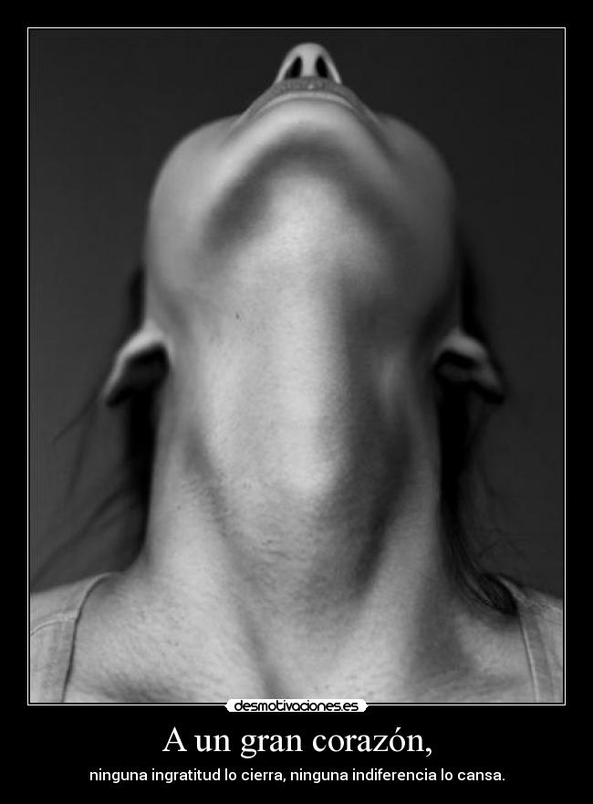 carteles corazon thelittleprincces thelittleprincess clanmosionados unicorniosfelices mc12 aelm17 gusfrasnabo desmotivaciones