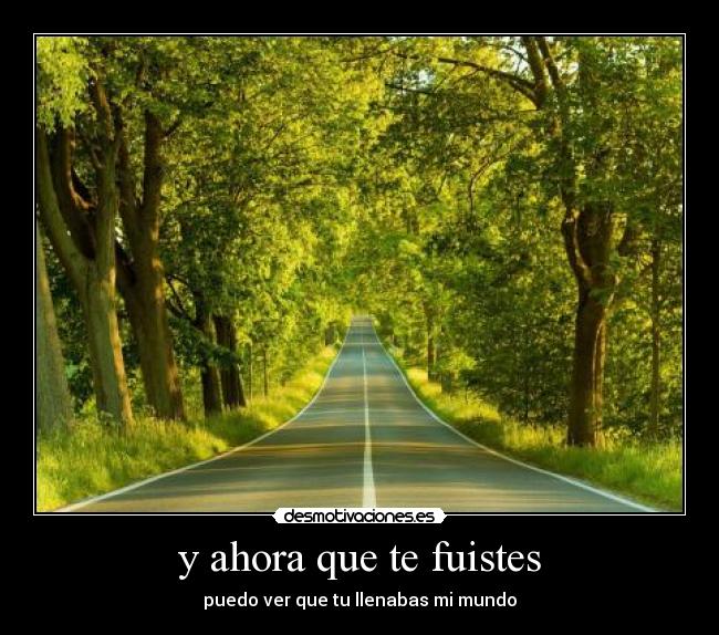 y ahora que te fuistes - puedo ver que tu llenabas mi mundo