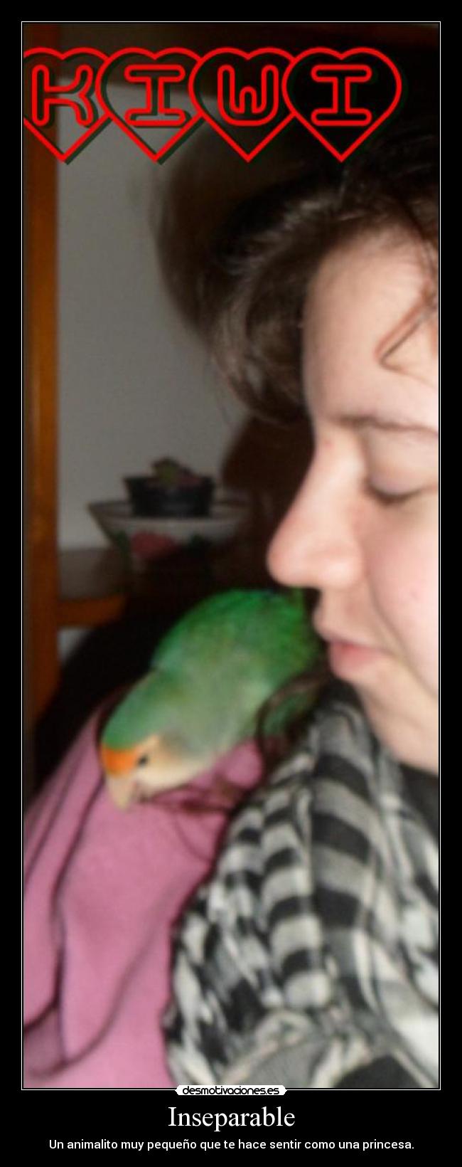 Inseparable - Un animalito muy pequeño que te hace sentir como una princesa.