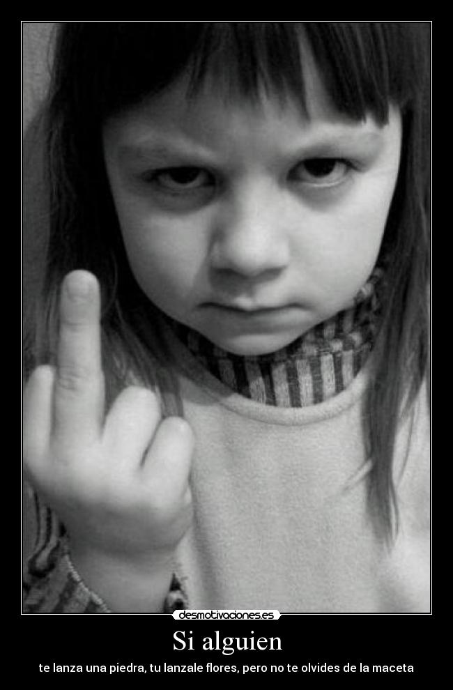 Si alguien - te lanza una piedra, tu lanzale flores, pero no te olvides de la maceta