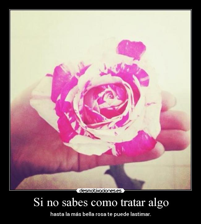 carteles fhklnsdhjf desmotivaciones