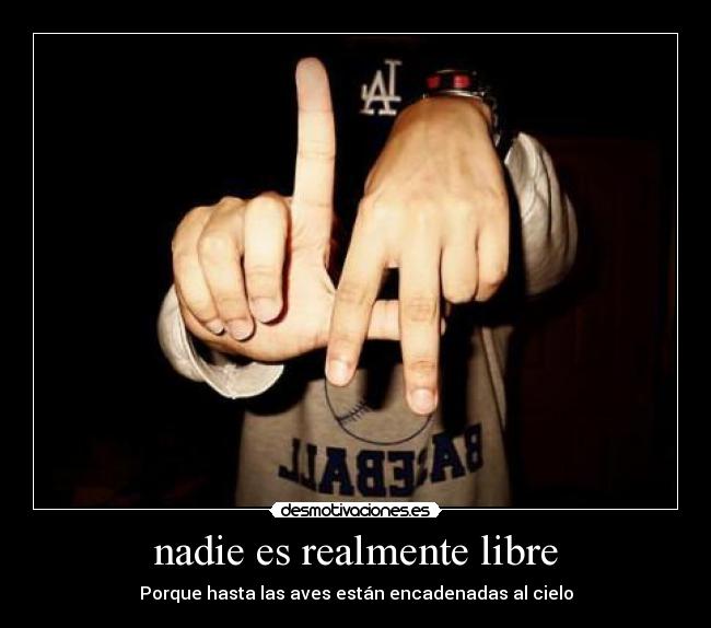 nadie es realmente libre - Porque hasta las aves están encadenadas al cielo