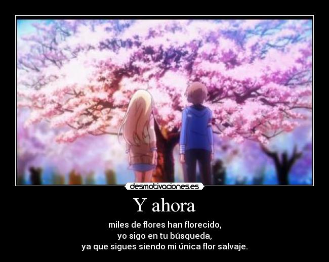 carteles klanotaku harukaze sakurasou pet kanojo sorata shiina anime flores sakura desmotivaciones