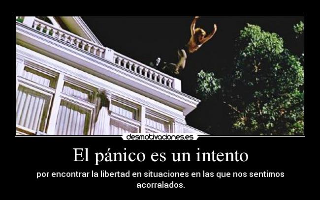 El pánico es un intento - 