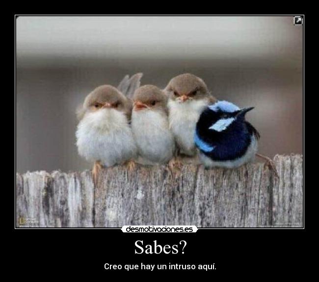Sabes? -