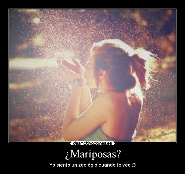 ¿Mariposas? -