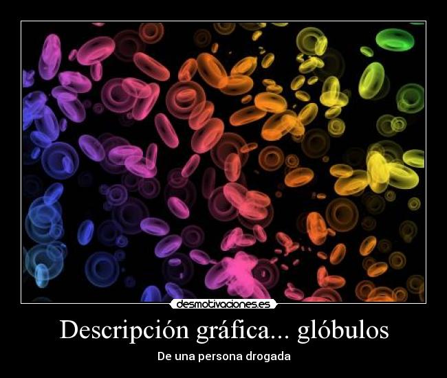 Descripción gráfica... glóbulos -