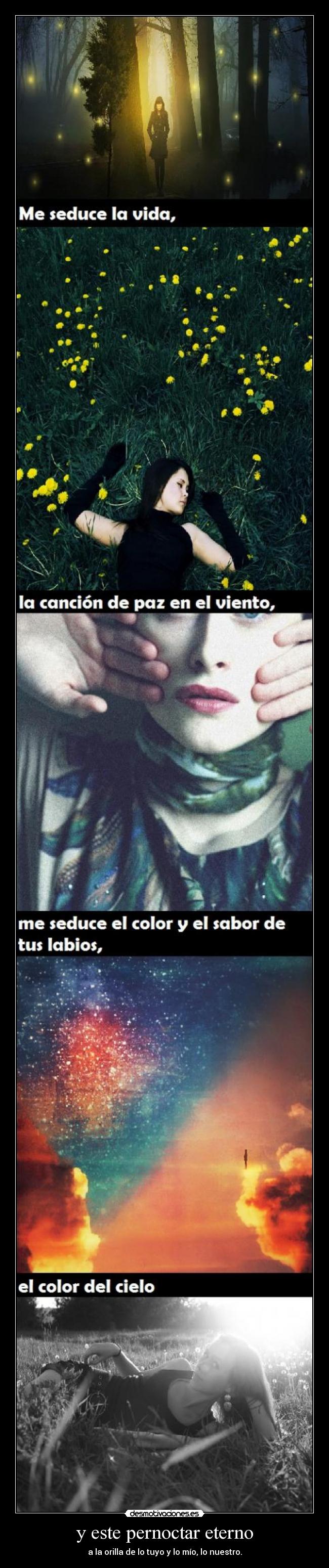 carteles amm virmared varios desmotivaciones