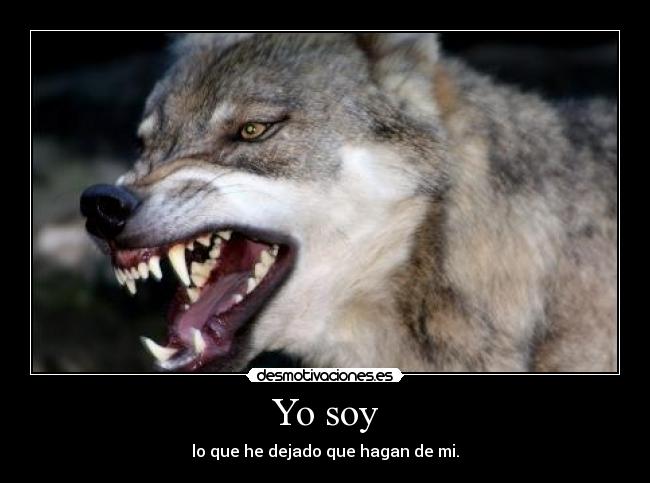 Yo soy - lo que he dejado que hagan de mi.