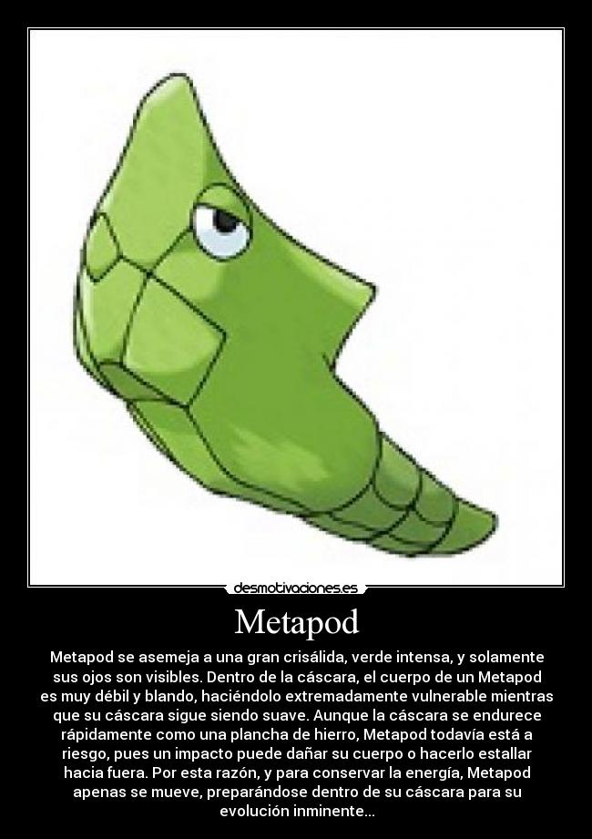 Metapod -
