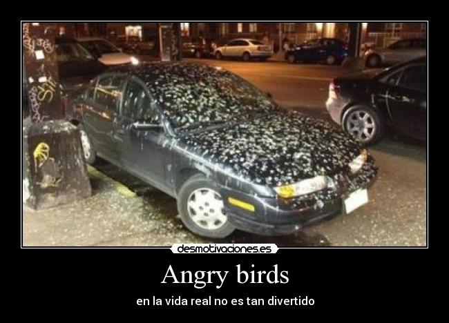 Angry birds -