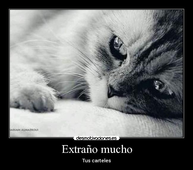 Extraño mucho - Tus carteles