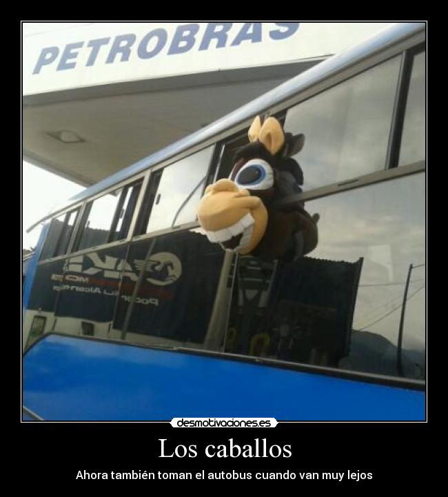 Los caballos - Ahora también toman el autobus cuando van muy lejos