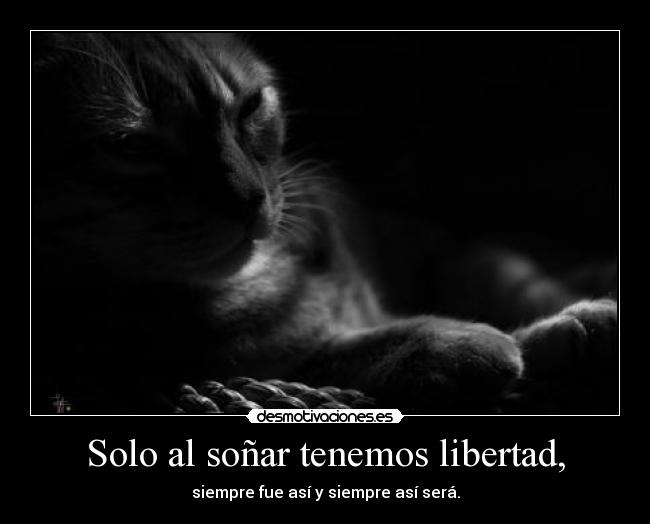 Solo al soñar tenemos libertad, - siempre fue así y siempre así será.