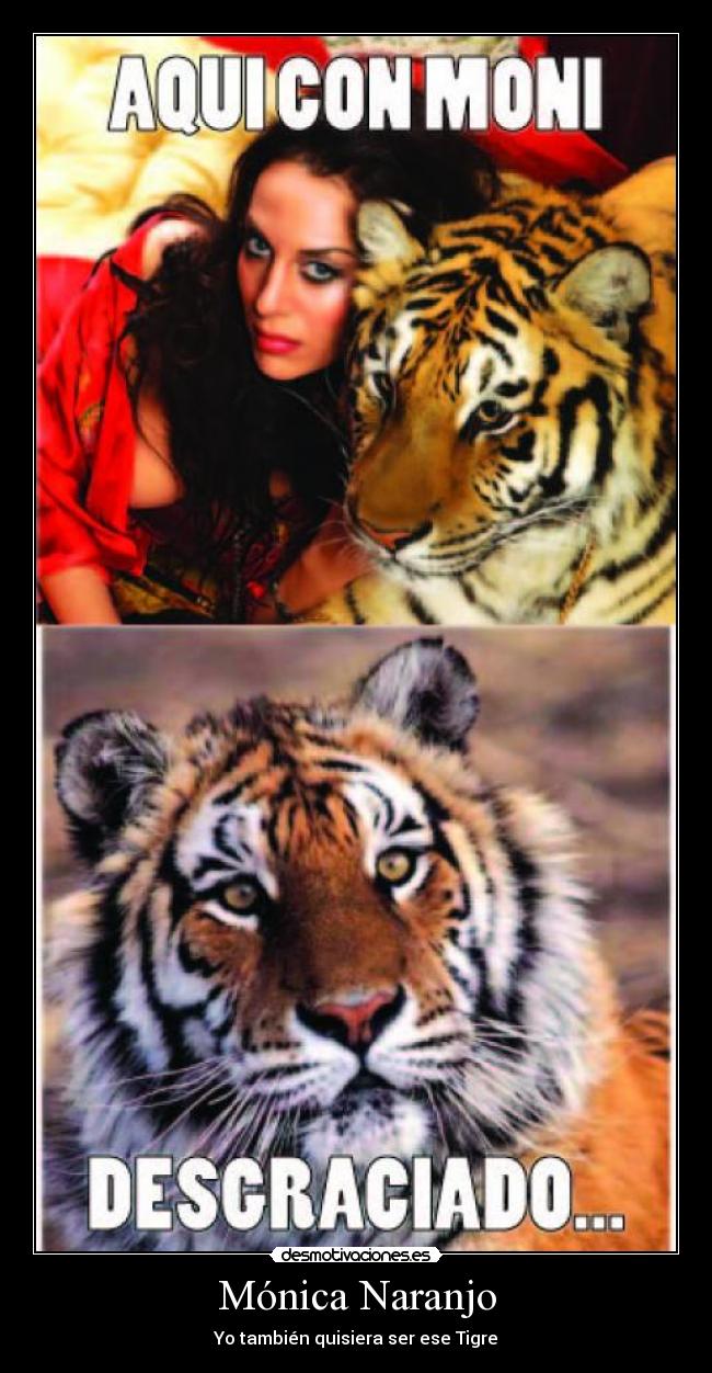 Mónica Naranjo - Yo también quisiera ser ese Tigre