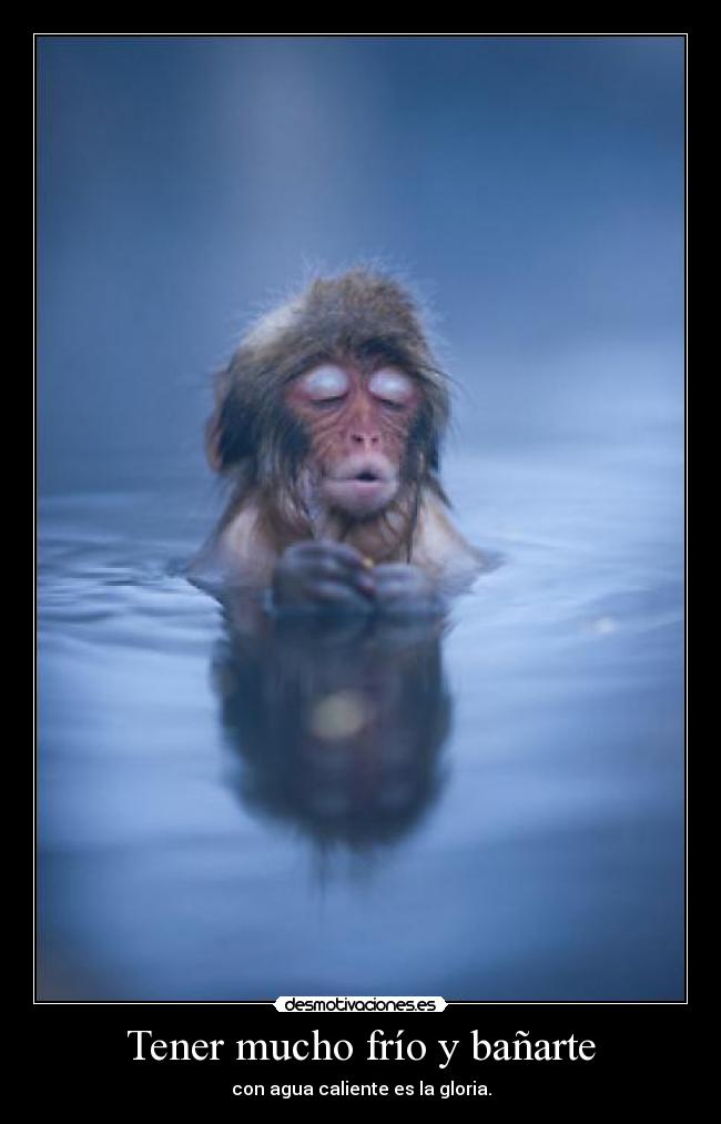 Tener mucho frío y bañarte - con agua caliente es la gloria.