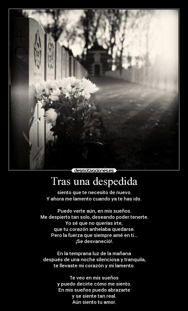 Tras una despedida - 