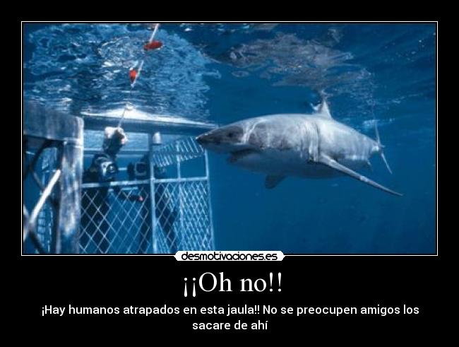 ¡¡Oh no!! -