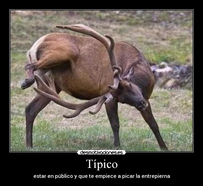 carteles sawglam94 desmotivaciones