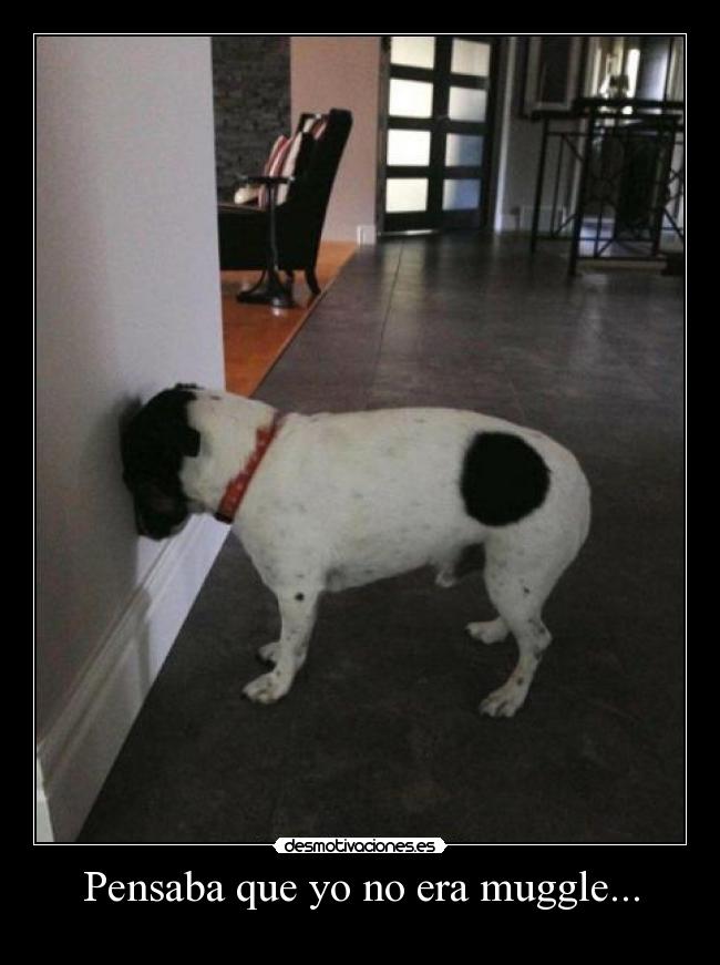 Pensaba que yo no era muggle... - 