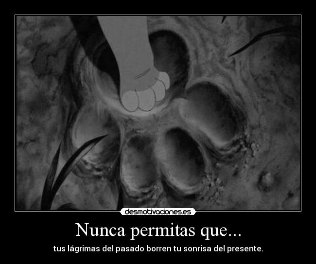 Nunca permitas que... - tus lágrimas del pasado borren tu sonrisa del presente.