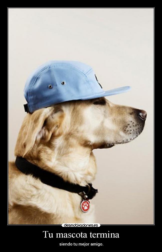 Tu mascota termina - siendo tu mejor amigo.