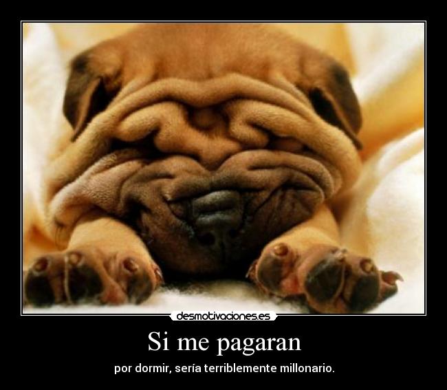 Si me pagaran - por dormir, sería terriblemente millonario.