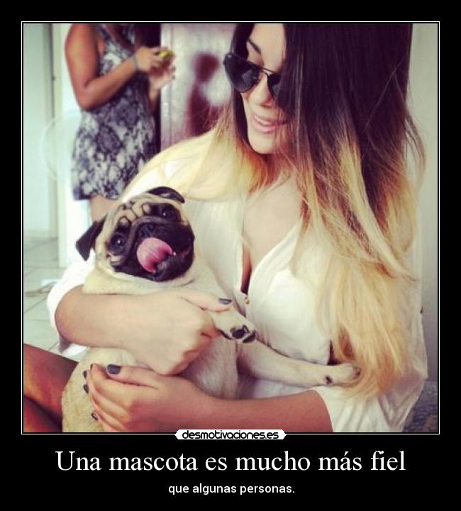 Una mascota es mucho más fiel -