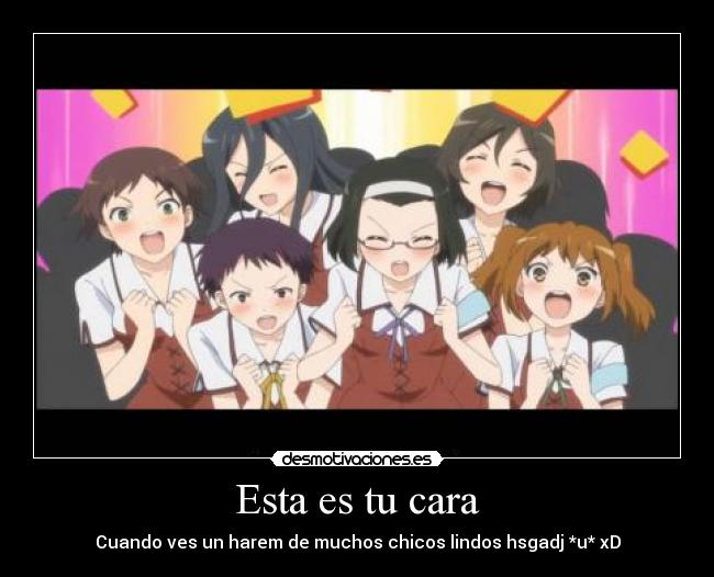 Esta es tu cara - Cuando ves un harem de muchos chicos lindos hsgadj *u* xD