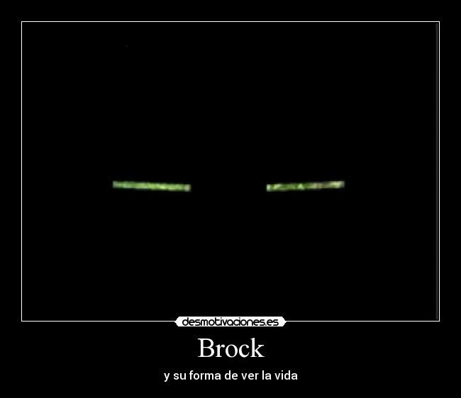 Brock - y su forma de ver la vida