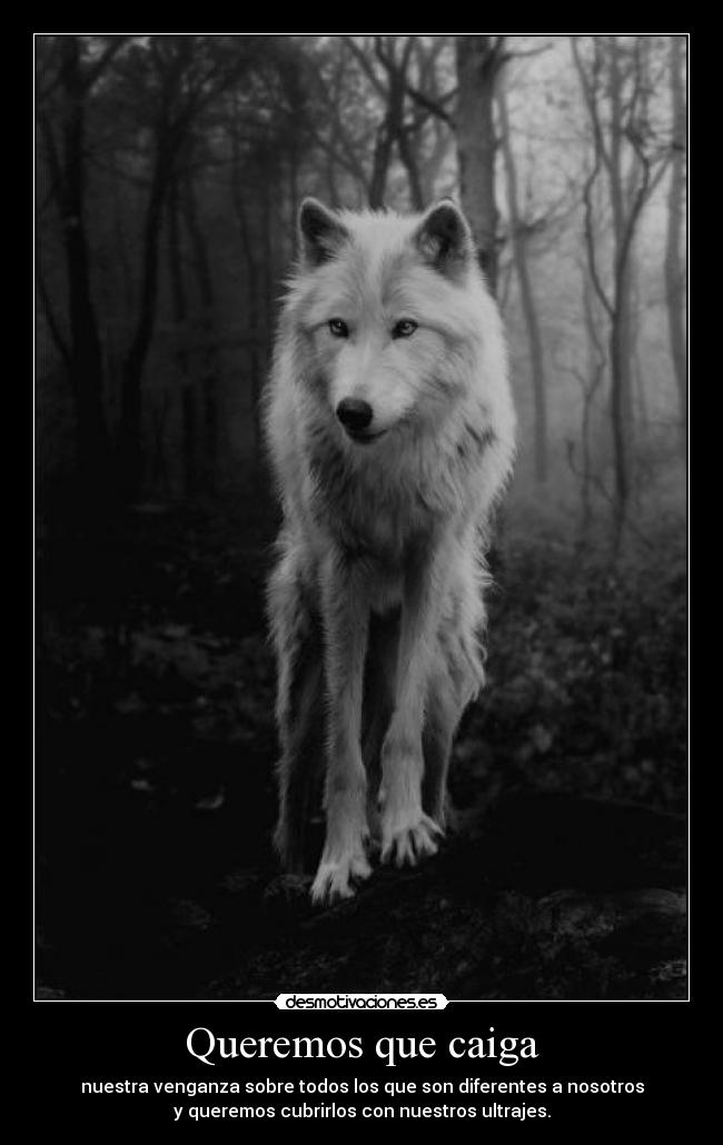 Queremos que caiga - nuestra venganza sobre todos los que son diferentes a nosotros
y queremos cubrirlos con nuestros ultrajes.