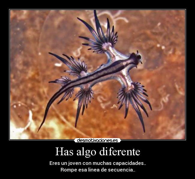 carteles luizz roberth desmotivaciones