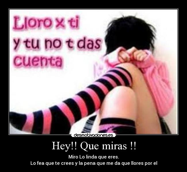 carteles gato0 desmotivaciones