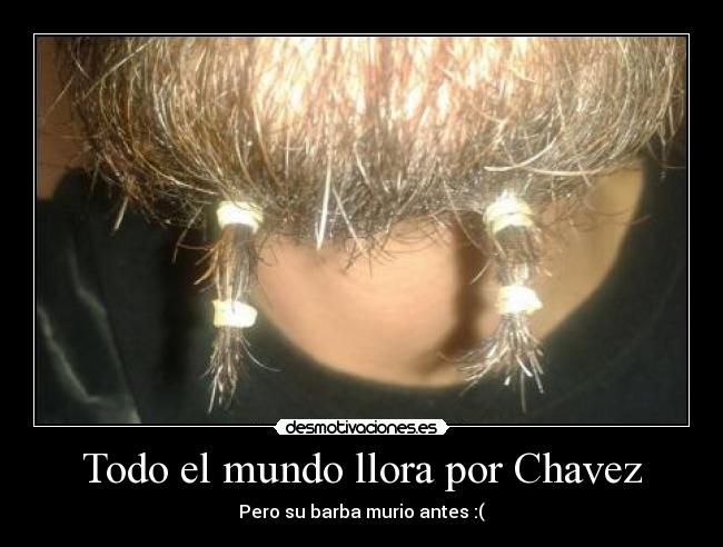 Todo el mundo llora por Chavez - Pero su barba murio antes :(